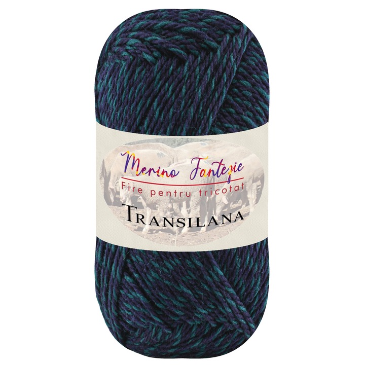 Fir pentru tricotat, Transilana, Merino Fantezie, 100% lana merinos, culoare Verde sticla/Bleumarin F685M 100 g, 280 m