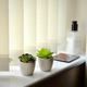 Set de 6 plante suculente artificiale M&W