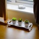 Set de 6 plante suculente artificiale M&W