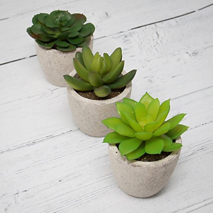 Set de 6 plante suculente artificiale M&W