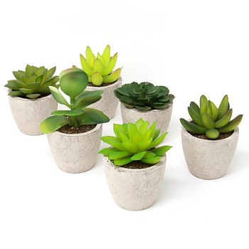 Set de 6 plante suculente artificiale M&W Set de 6 plante suculente artificiale M&W