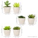 Set de 6 plante suculente artificiale M&W