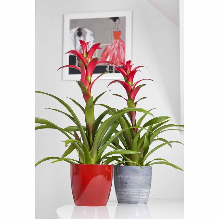 Aga Marmur kaspó, 18 cm, szürke márvány mintás