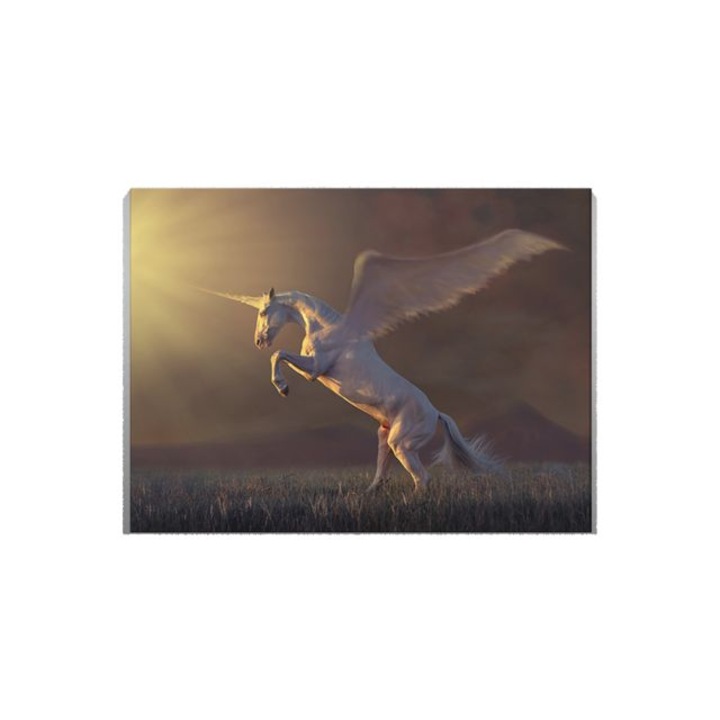 Tablou Canvas, Cal cu aripi, 50x70 cm