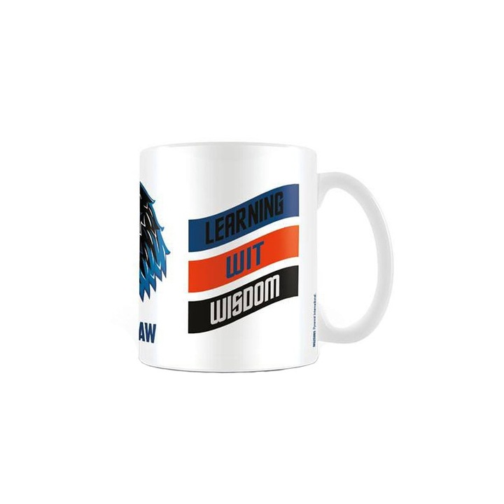 Cana Harry Potter Ravenclaw , 400ml , MG25095, Multicolor