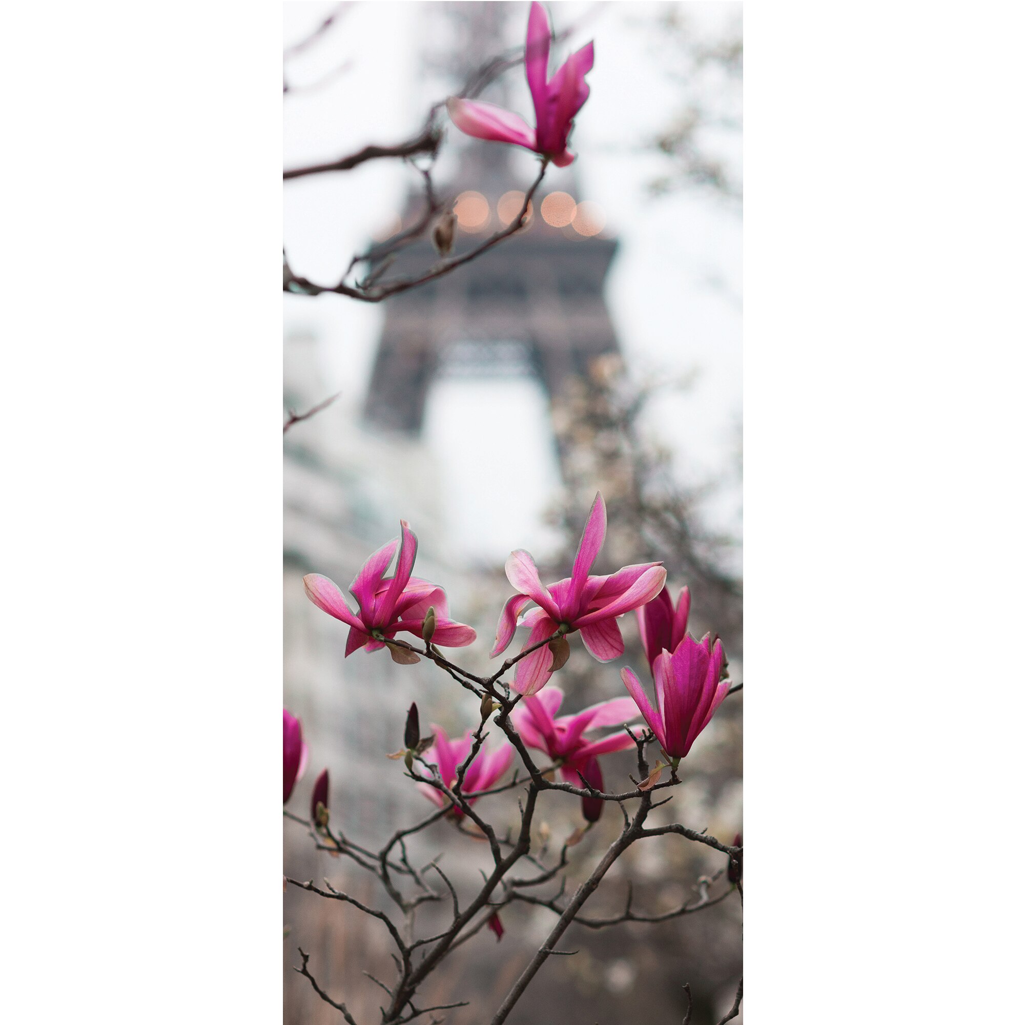 Autocolant imprimat pentru usa, Orafol, Magnolia de la Turnul Eiffel, multicolor, 92x205 cm