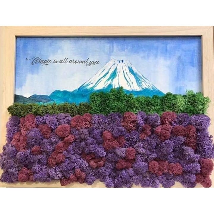 Tablou licheni si pictura Muntele Fuji, The Tulip and The Rose Shop, rama lemn, 30 x 40 cm