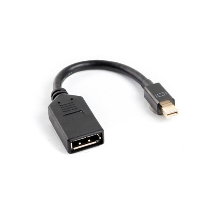 Adaptor MiniDisplayPort la DisplayPort