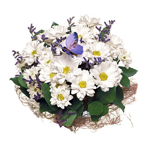 Buchet crizanteme albe