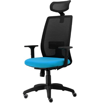 Scaun ergonomic de birou TRAFFIC CHAIRS CONCEPT, mesh NEGRU, sezut TURCOAZ, spatar si tetiera MESH, brate reglabile, mecanism multiblock, suport lombar reglabil Scaun ergonomic de birou TRAFFIC CHAIRS CONCEPT, mesh NEGRU, sezut TURCOAZ, spatar si tetiera MESH, brate reglabile, mecanism multiblock, suport lombar reglabil