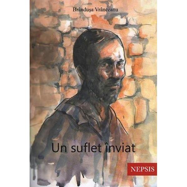 Un suflet inviat - Brandusa Vranceanu