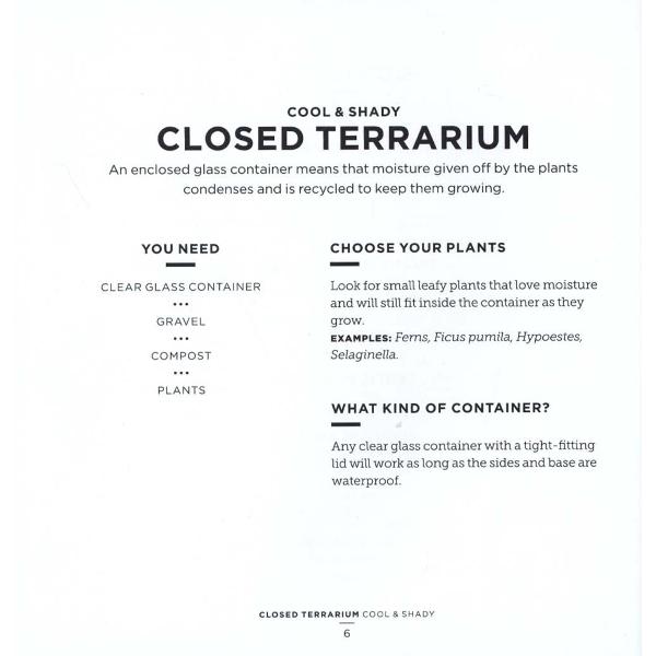 Bring the Outside in