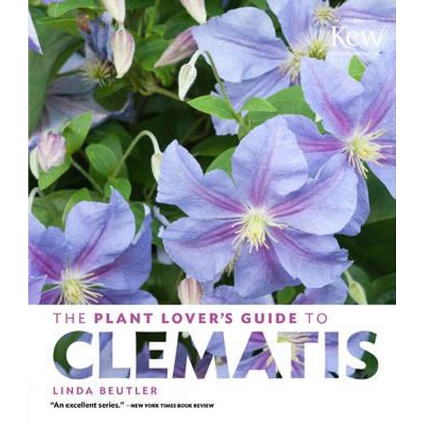 Plant Lover's Guide to Clematis