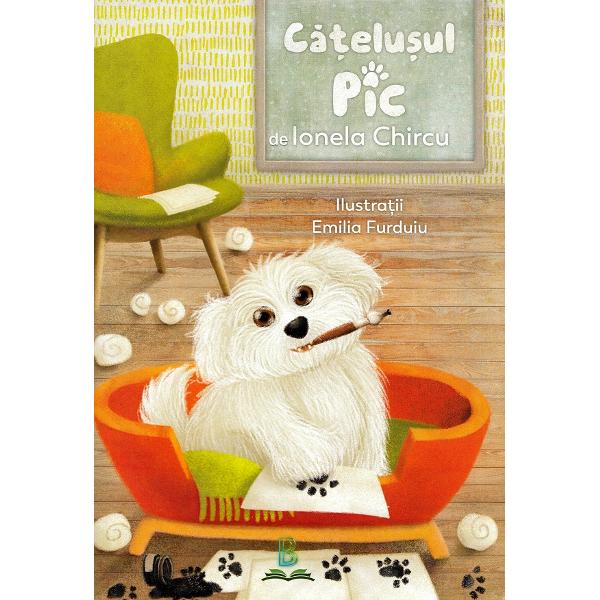 Catelusul Pic - Ionela Chircu