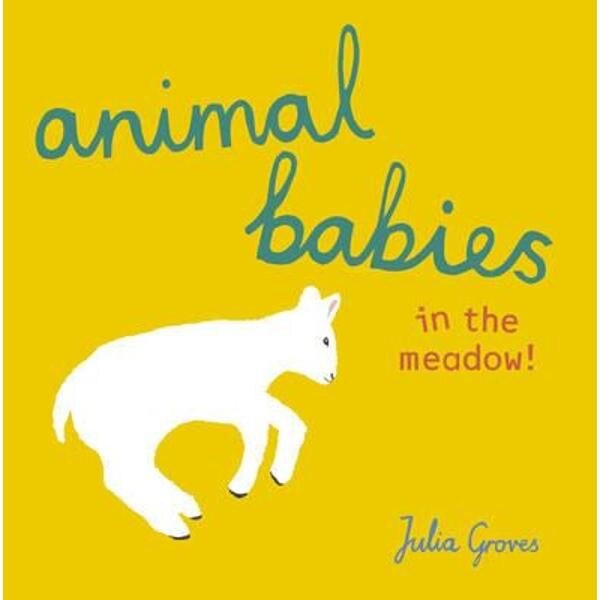 Animal Babies in the Meadow!