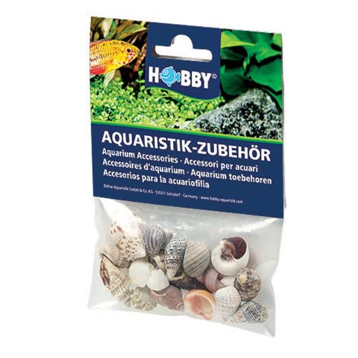 Hobby Sea Shells Set S 20db - dekoráció akváriumba