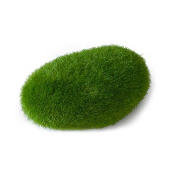 Decoratiune pentru acvarii Ebi Aqua Della, Muschi, M, 10x6.5x5cm Decoratiune pentru acvarii Ebi Aqua Della, Muschi, M, 10x6.5x5cm