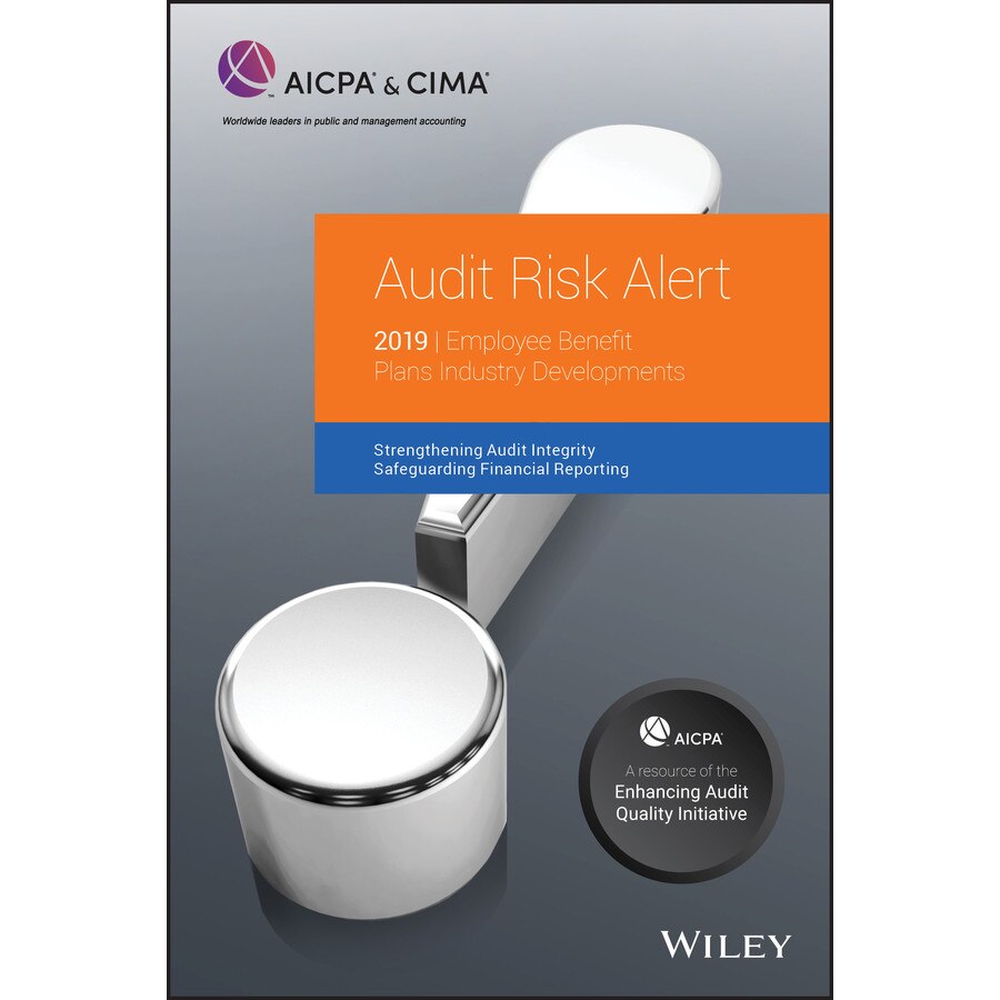 Audit Risk Alert de AICPA [Paperback] 9/07/19