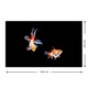 Panou sticla decorativa bucatarie, protectie aragaz, antistropire, Print UV, octopus, imprimata Multicolor, 1000mmx600mm oct119-100x60