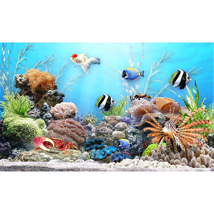 Panou sticla decorativa bucatarie, protectie aragaz, antistropire, Print UV, octopus, imprimata Multicolor, 1000mmx600mm oct117-100x60