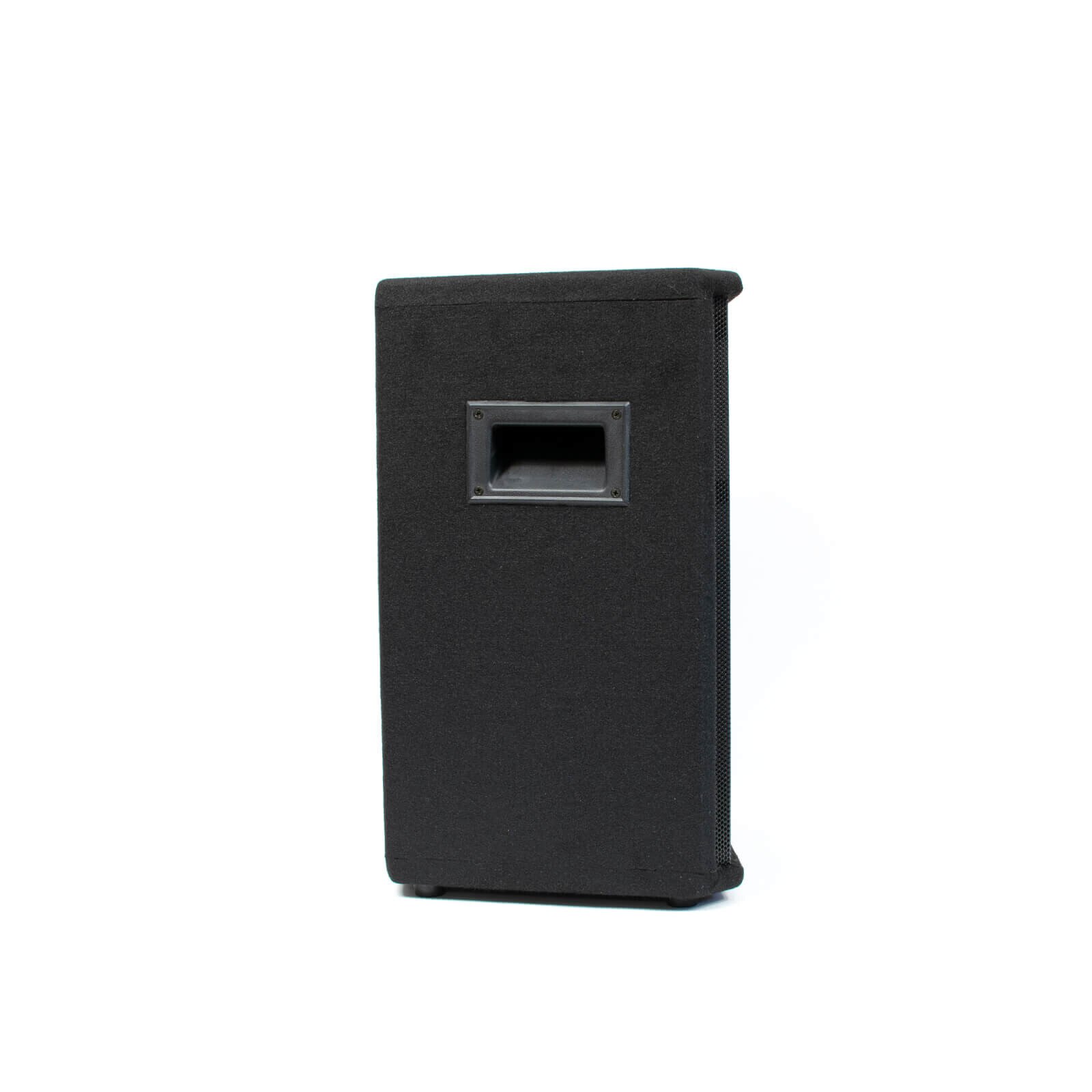 Difuzor pasiv Thunder PRO-10 150/300W (10″)