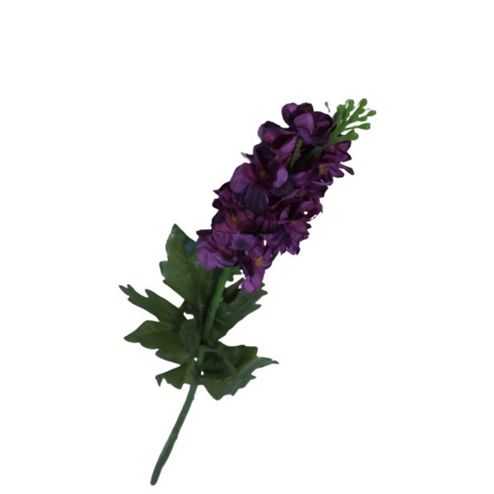 Fir Delphinium, mov, 65 cm