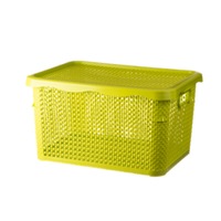 box cu capac perlat escalate 40l imagen 40_0_
0
