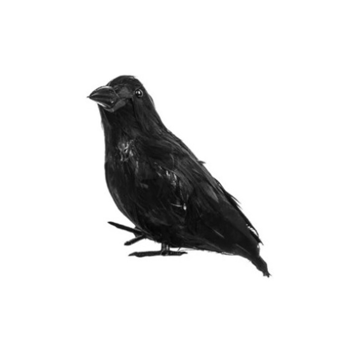 Dekoratív fekete varjú, Halloween partira, 15 cm