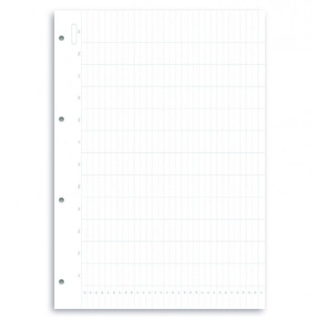Set 5 rezerve hartie Filofax anuale nedatate A4 compatibile Clipbook si Organiser Filofax Set 5 rezerve hartie Filofax anuale nedatate A4 compatibile Clipbook si Organiser Filofax
