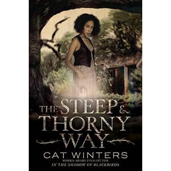 Steep and Thorny Way