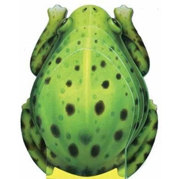 Little Frog