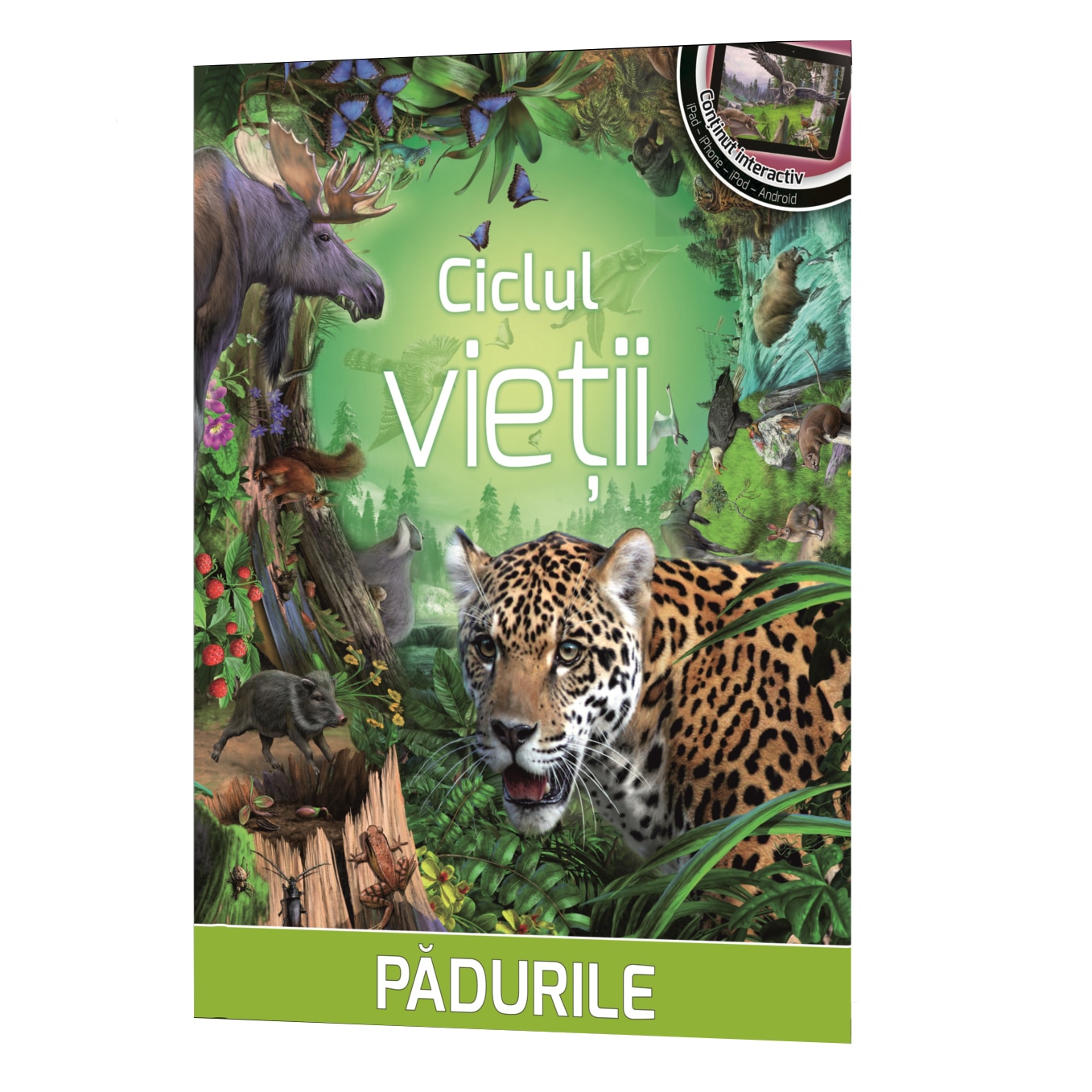 Ciclul vietii: Padurile