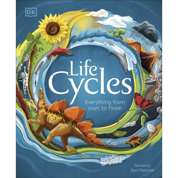 Life Cycles - Sam Falconer - DK Publishing