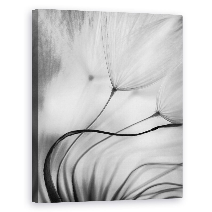 Tablou canvas - Sprijinire, Papadie, Seminte, Moale, Bland, Fragil, 80 x 100 cm