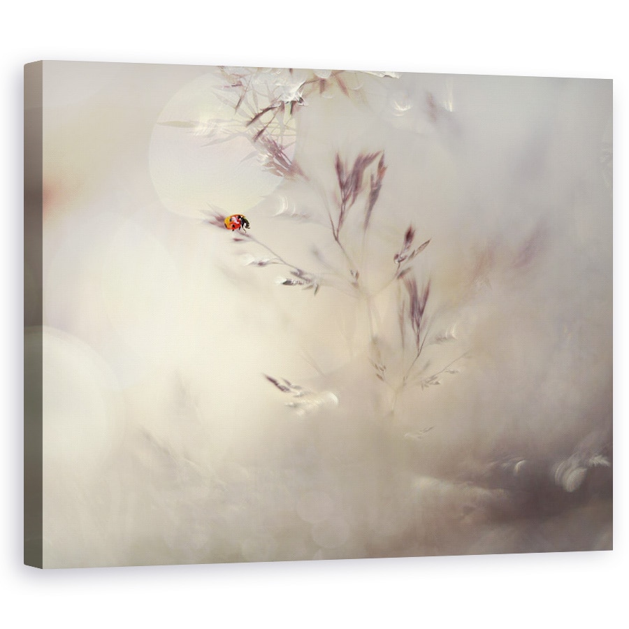 Tablou canvas - Micuta Doamna, Macro, Abstract, Gargarita, Rosu, 40 x 50 cm