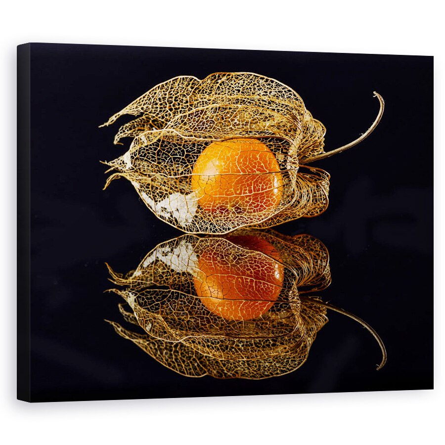 Tablou canvas - Frunze, Reflectie, Macro, 80 x 100 cm