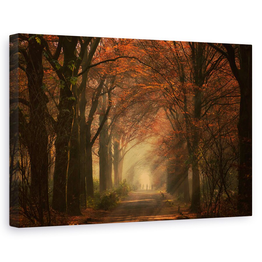 Tablou canvas - Plimbare Toamna, Peisaj, Razele Soarelui, Raze de Lumina, Toamna, Infrangere, Drum, 40 x 60 cm