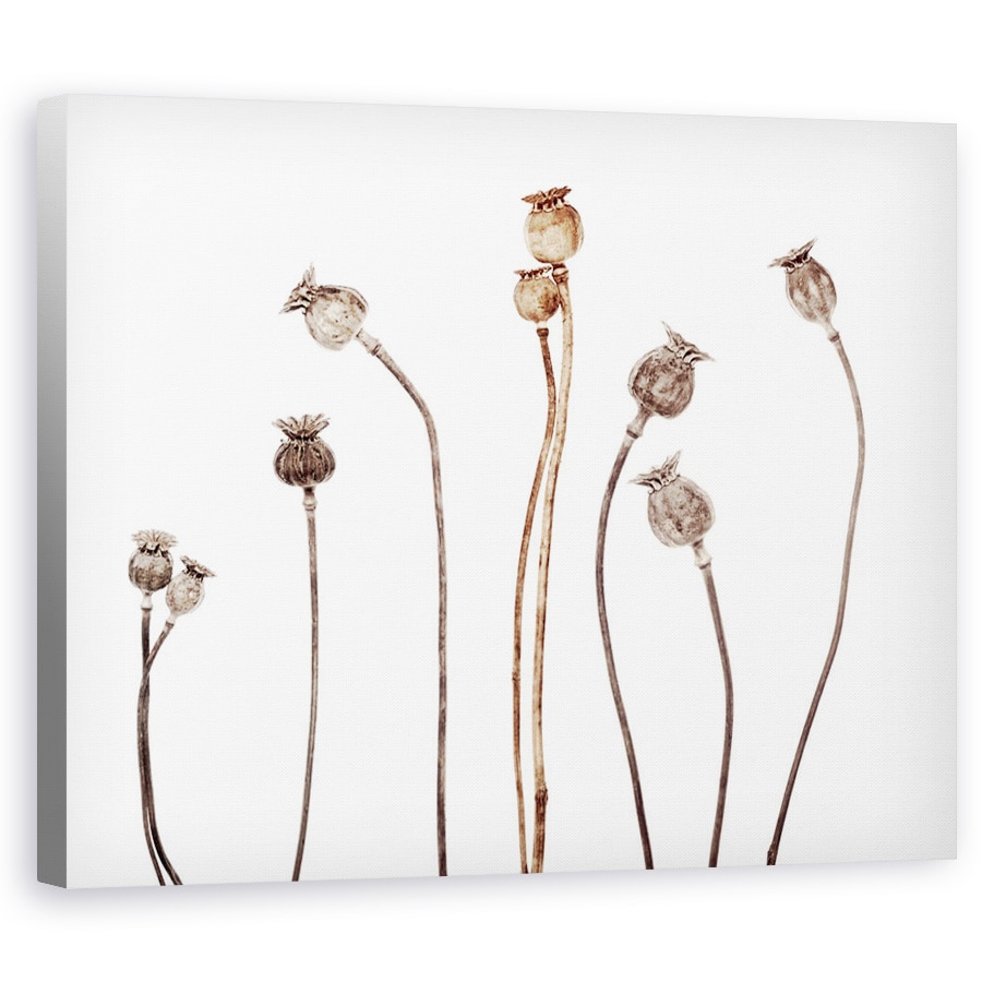 Tablou canvas - Flori de Maci, Natura Moarta, Grafic, 60 x 75 cm