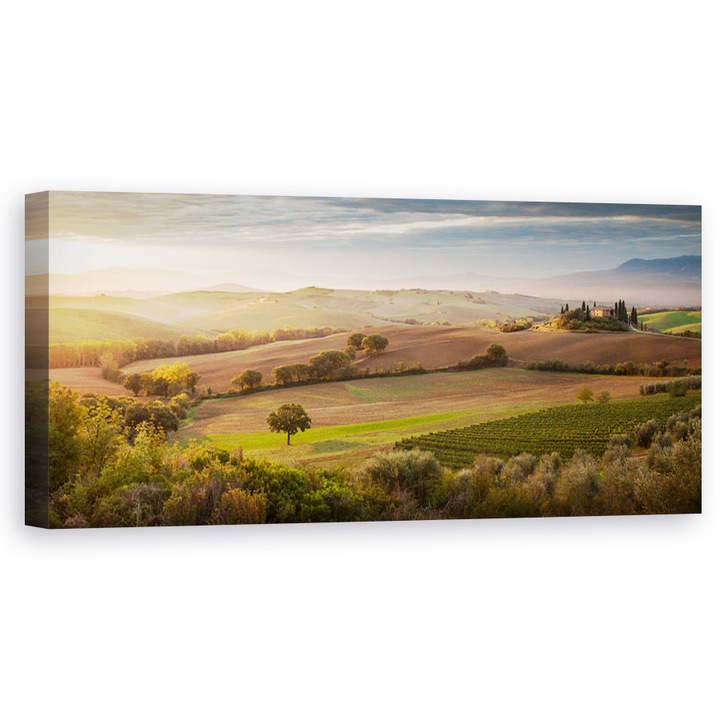 Tablou canvas - Taramul de Zori, Zori, Toscana, Panorama, Casa, 40 x 100 cm