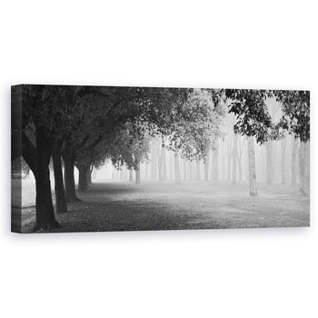 Tablou canvas - Ceata de Dimineata, Ceata, Abur, Dimineata, Pomi, Italia, Panorama, 40 x 100 cm Tablou canvas - Ceata de Dimineata, Ceata, Abur, Dimineata, Pomi, Italia, Panorama, 40 x 100 cm