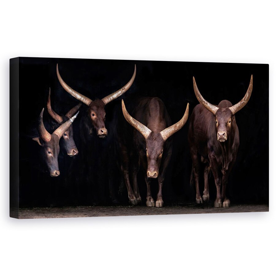 Tablou canvas - Familia Watusi, Animale, Cabarceno, Corn, Claxoane, 60 x 120 cm