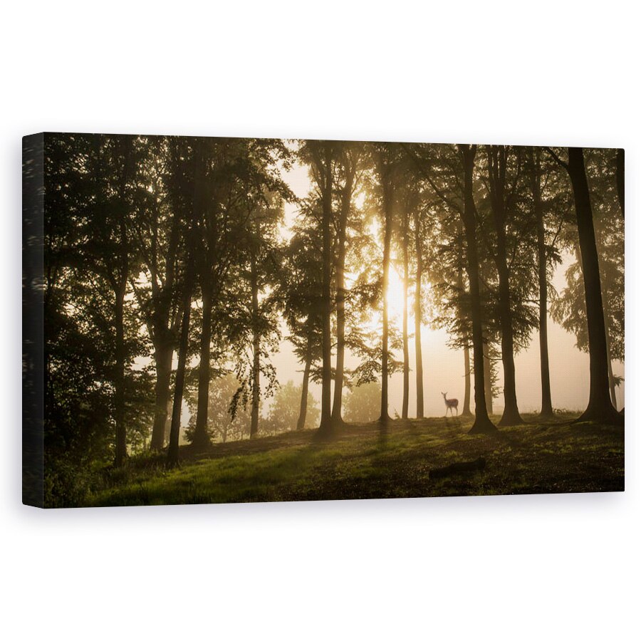 Tablou canvas - Cerb in Ceata Diminetii, Danemarca, Iutlanda, Padure, Usor, Cerb, Pomi, 50 x 100 cm