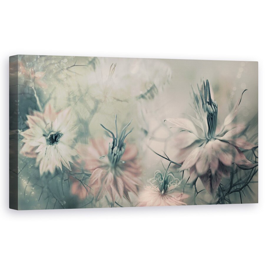 Tablou canvas - Fecioarele Ll, Macro, Prim-Plan, Flori, Nigella, Natura Moarta, 50 x 100 cm