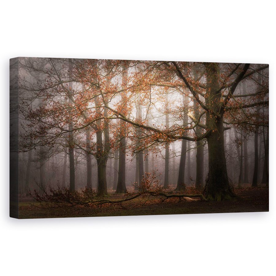 Tablou canvas - Memoria Incetosata A Trecutului, Mastbos, Cetos, Panorama, Abur, 60 x 120 cm
