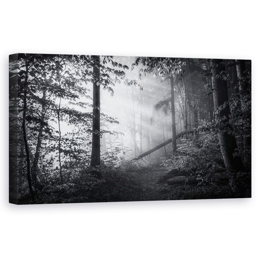 Tablou canvas - Punct Fara Intoarcere, Peisaj, Padure, Poteca, Traseu, Drum, Raze de Lumina, 60 x 120 cm