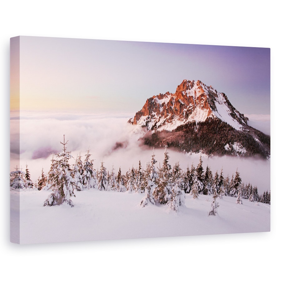Tablou canvas - Varful Rozsutec, Munte, Slovacia, Iarna, Pomi, Summit, 40 x 60 cm