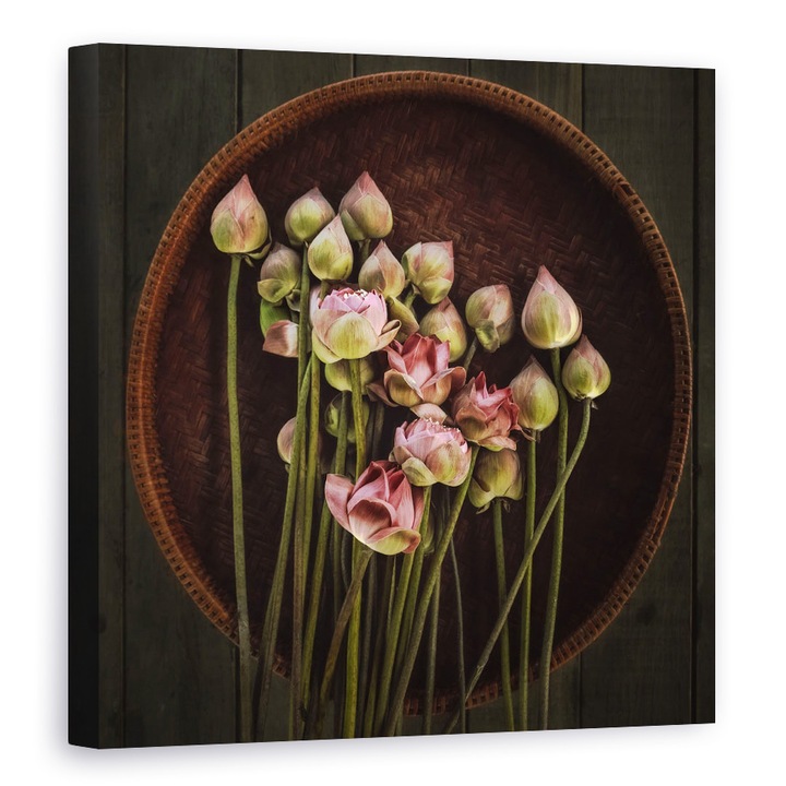 Tablou canvas - Lotus, Floare, Roz, Thailanda, Natura Moarta, Castron, 100 x 100 cm