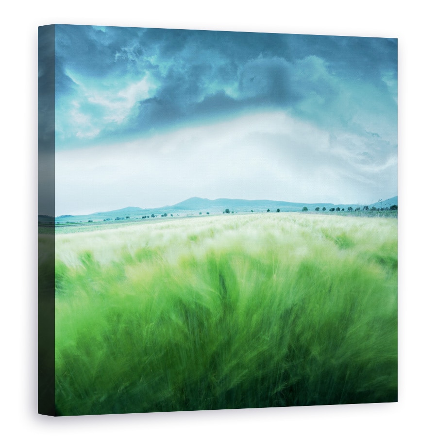 Tablou canvas - Camp de Orz, Peisaj, Vant, Furtuna, Nor, Cer, Camp, 100 x 100 cm