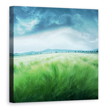 Tablou canvas - Camp de Orz, Peisaj, Vant, Furtuna, Nor, Cer, Camp, 70 x 70 cm Tablou canvas - Camp de Orz, Peisaj, Vant, Furtuna, Nor, Cer, Camp, 70 x 70 cm