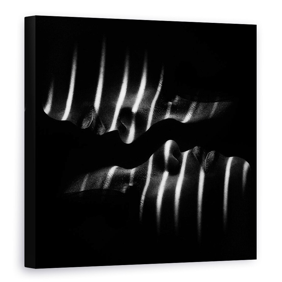 Tablou canvas - Puteri, Fata, Fete, Zebra, Dungi, Linii, Intunecos, 80 x 80 cm